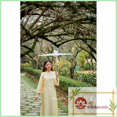 Silk Áo Dài with Golden Cream Buttons – Elegant & Refined