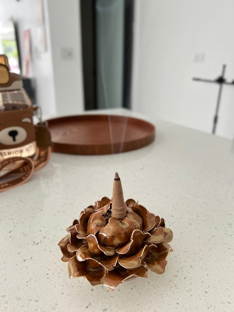 Premium Agarwood Incense Cones 25 Years Old